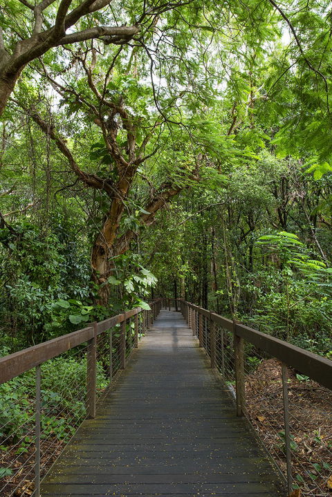 Hotel Grand Chancellor Palm Cove - VIC Tourism 1