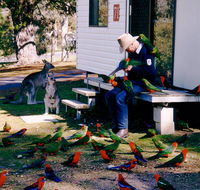 Inland Waters Holiday Parks Burrinjuck - VIC Tourism