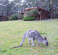 Jenolan Caves Cottages - VIC Tourism