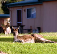 Kalgan River Chalets and Caravan Park - VIC Tourism