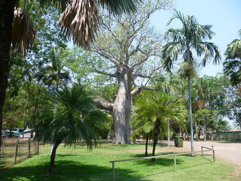 Kimberleyland Waterfront Holiday Park - VIC Tourism 3