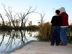 Kingston-On-Murray Caravan Park - VIC Tourism 2