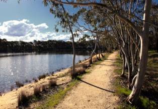 Kyneton Bushland Resort - VIC Tourism 0