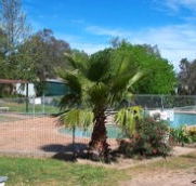 Lake Burrinjuck Leisure Resort - VIC Tourism