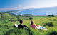 Lennox Beach Resort - thumb 3