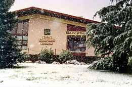 Marlborough Motor Inn - VIC Tourism 4