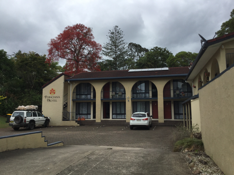 Murwillumbah Gallery Motel - VIC Tourism 11