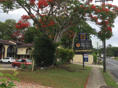 Murwillumbah Gallery Motel - VIC Tourism 20