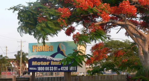Pialba Motor Inn - VIC Tourism 1