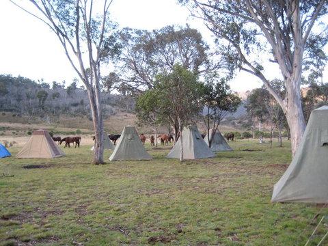 Reynella Kosciusko Rides Homestead - VIC Tourism 3