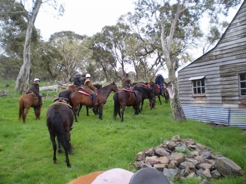 Reynella Kosciusko Rides Homestead - VIC Tourism 10
