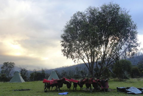 Reynella Kosciusko Rides Homestead - VIC Tourism 9
