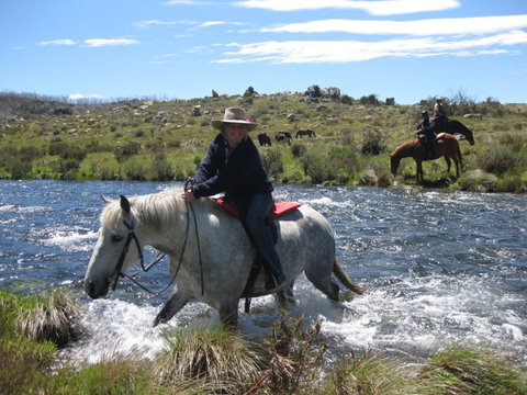 Reynella Kosciusko Rides Homestead - VIC Tourism 11