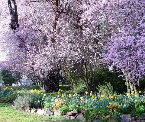 Reynella Kosciusko Rides Homestead - VIC Tourism 13