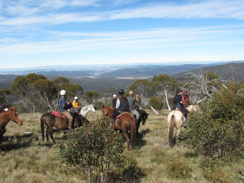 Reynella Kosciusko Rides Homestead - VIC Tourism 6