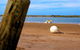 Miara Holiday Park - thumb 5