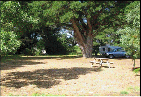 Millicent Hillview Caravan Park - VIC Tourism 4