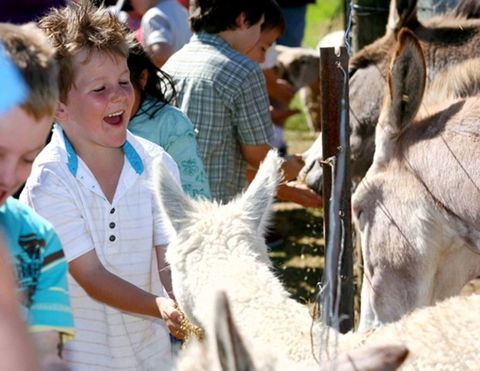 Mowbray Park Farm Stay - VIC Tourism 2