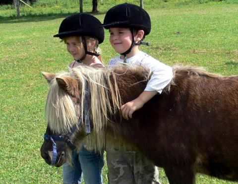 Mowbray Park Farm Stay - VIC Tourism 3