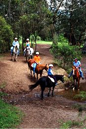 Mowbray Park Farm Stay - VIC Tourism 5