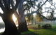 Mudgee's Getaway Cottages - thumb 3