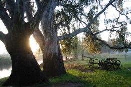 Mudgee's Getaway Cottages - VIC Tourism 3