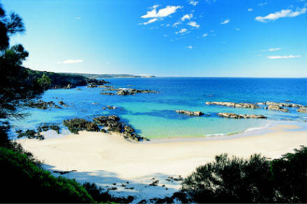 Mystery Bay Cottages - VIC Tourism 1