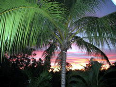 Palmerston Sunset Retreat - VIC Tourism 4
