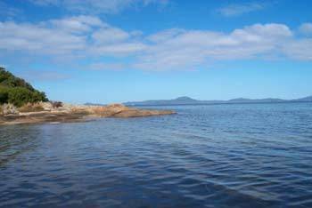 Prom Mill Cottages - VIC Tourism 4