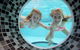 Rumba Beach Resort - thumb 5
