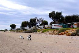 Stansbury Foreshore Caravan Park - VIC Tourism 0