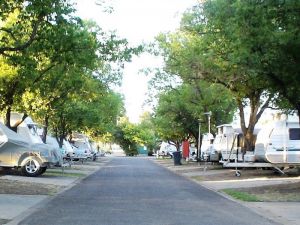 Paradise Tourist Park - VIC Tourism 6