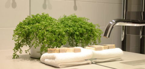 Bannisters Pavilion - VIC Tourism 14