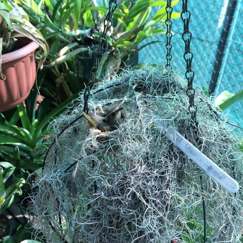 Bromeliad Bed And Breakfast - VIC Tourism 13