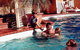 The Clifton Motel And Grittleton Lodge - thumb 2