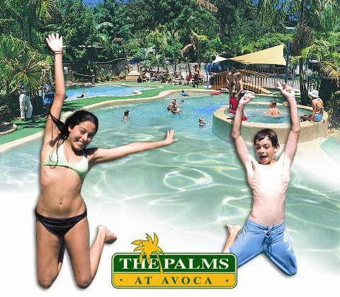 The Palms At Avoca - VIC Tourism 3