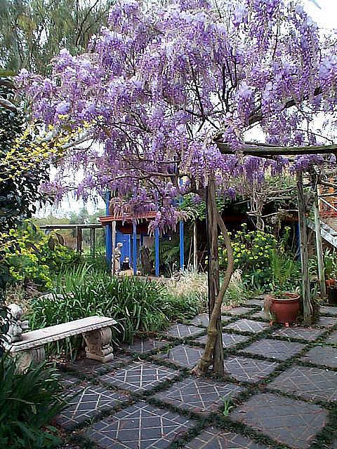 The Retreat At Froog Moore Park - VIC Tourism 2