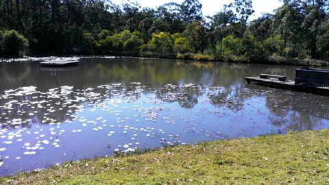 The Retreat Bushland Lodge - VIC Tourism 3