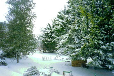 Titania Motel - VIC Tourism 0