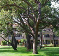 Trinity - VIC Tourism