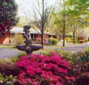 View Hill Holiday Units - VIC Tourism