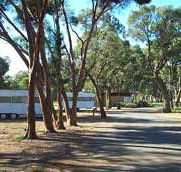 Wycheproof Caravan Park - VIC Tourism