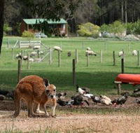 Diamond Forest Cottages and Farm Stay - VIC Tourism