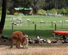 Diamond Forest Cottages And Farm Stay - VIC Tourism 0