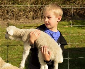 Diamond Forest Cottages And Farm Stay - VIC Tourism 1