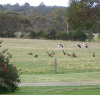Woody Grange Chalets - VIC Tourism