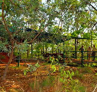 Arnhemland Barramundi Nature Lodge - VIC Tourism