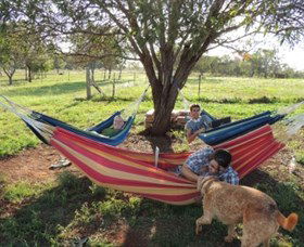 Childers Eco-lodge - VIC Tourism 1