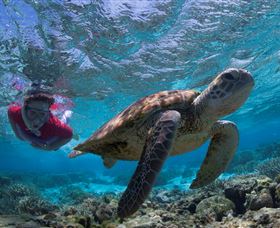 Lady Elliot Island Eco Resort - VIC Tourism 1