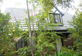 Wirilda And Cottage - VIC Tourism 5